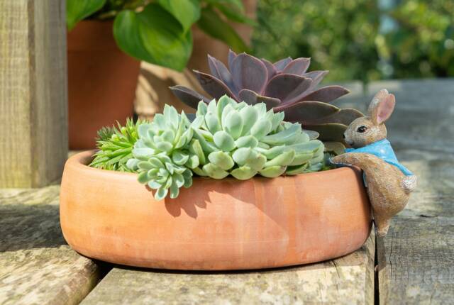 Peter Rabbit Pot Buddy - Beatrix Potter Hanger Gift Boxed Buddies. Ornament Garden & Home - image 1