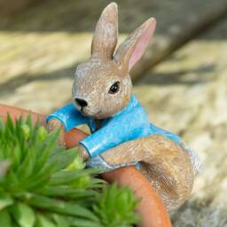 Peter Rabbit Pot Buddy - Beatrix Potter Hanger Gift Boxed Buddies. Ornament Garden & Home - thumbnail 2