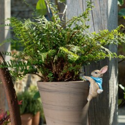 Peter Rabbit Pot Buddy - Beatrix Potter Hanger Gift Boxed Buddies. Ornament Garden & Home - thumbnail 3