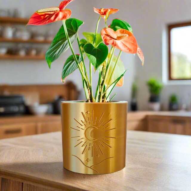 Moon Plant Pot, 3D Printed Planter, Planter Pot With Drainage, Bookshelf Decor, Unique Gifts For Lover, Houseplant - image 1