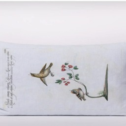 Baby Bird Vintage Botanical -Cushion Cover Case Or Stuffed With Insert - thumbnail 2