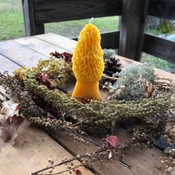 Morel Mushroom Beeswax Candle Farmhouse Cabin Decor - thumbnail 2