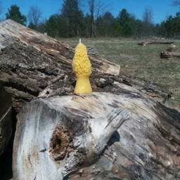 Morel Mushroom Beeswax Candle Farmhouse Cabin Decor - thumbnail 3