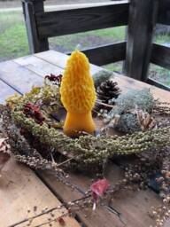 Morel Mushroom Beeswax Candle Farmhouse Cabin Decor - thumbnail 1