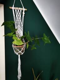 Hanging Macrame Plant Hanger White Cotton Rope, Boho Home Decor - thumbnail 1