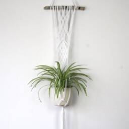 Hanging Macrame Plant Hanger White Cotton Rope, Boho Home Decor - thumbnail 2