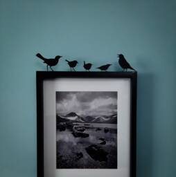 British Garden Birds Silhouette Shelf Ornament - Robin, Blackbird, Wren, Nuthatch & Song Thrush, Gardener Gift - thumbnail 1