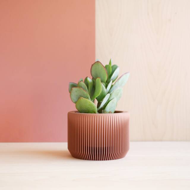 Pink Terracotta Plant Pot, Unique Textured Planter, Original Planter Gift For Home Decor Lover - image 1