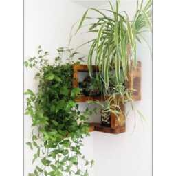 Rustic Corner Shelf, Reversible Shelving, Handcrafted Pinewood Storage & Organisation - thumbnail 3