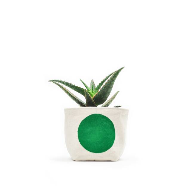 Green Dot Fabric Planter Medium 4 - image 1