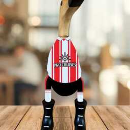 Southampton Fc - Hand-Painted Wooden Duck - 2025-2026 Design Approx. 25cm - thumbnail 2