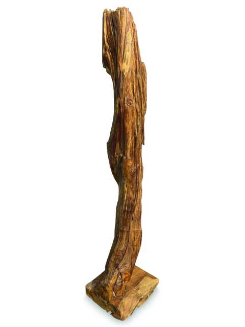 Tall Teak Root Natural Sculpture 180200cm - image 1