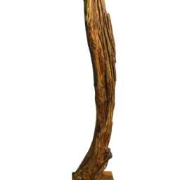 Tall Teak Root Natural Sculpture 180200cm - thumbnail 2