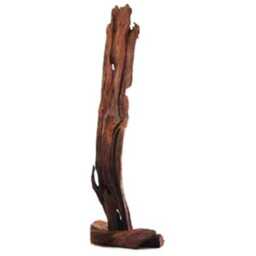 Tall Teak Root Natural Sculpture 180200cm - thumbnail 3
