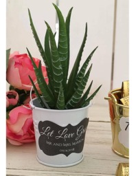 Wedding Bucket Favor Mini Pail Buckets Succulent Plant Holder Custom Birthday Favors Rustic - thumbnail 1