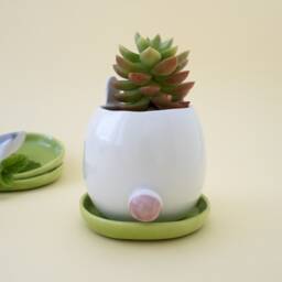 White Bunny Planter With Saucer. A Cute Plant Pot For Succulent To Grow In. Ceramic Handmade in Italy - thumbnail 3