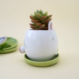 White Bunny Planter With Saucer. A Cute Plant Pot For Succulent To Grow In. Ceramic Handmade in Italy - thumbnail 2