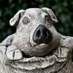 Piglet Peeking From Sack Statue Cement Pig Decor Storybook Stone Farm Figurine Garden Ornament Handmade Barnyard Sculpture Lover Gift - thumbnail 4