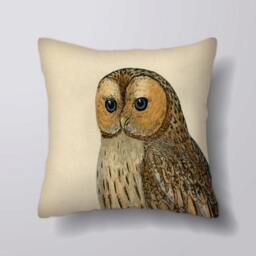 Owl Bird - Add Any Text- Customizeable Personlized -Cushion Cover Case Or Stuffed With Insert - thumbnail 1