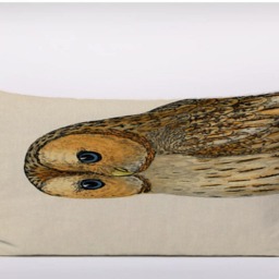 Owl Bird - Add Any Text- Customizeable Personlized -Cushion Cover Case Or Stuffed With Insert - thumbnail 2