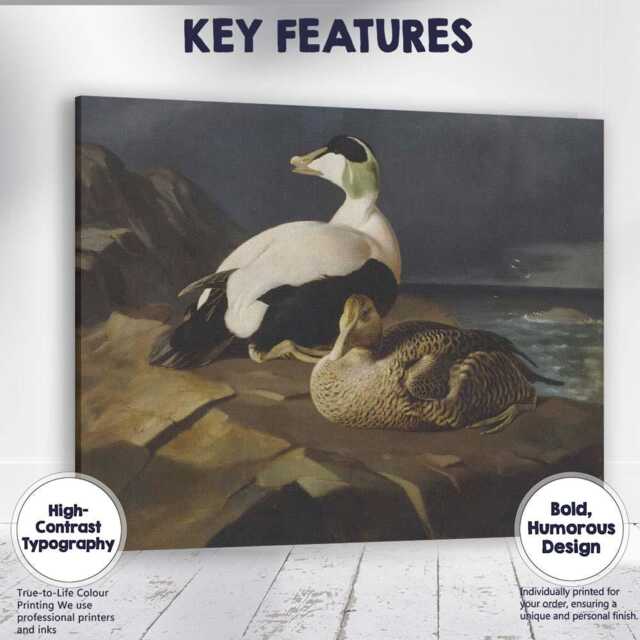 Coastal Eider Duck Pair Wildlife Oil Painting Canvas Wall Art Print Decor Picture Ready To Hang - image 1