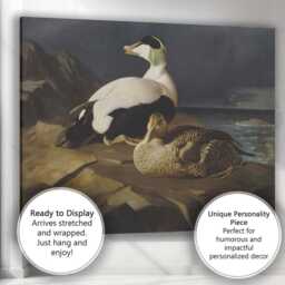 Coastal Eider Duck Pair Wildlife Oil Painting Canvas Wall Art Print Decor Picture Ready To Hang - thumbnail 3