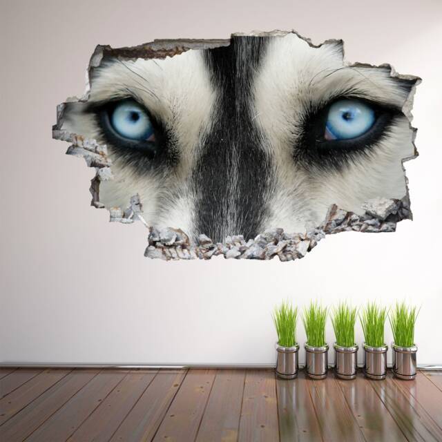Husky Dog Eyes Animal Wall Decal Sticker Mural Poster Print Art Home Decor Eh13 - image 1