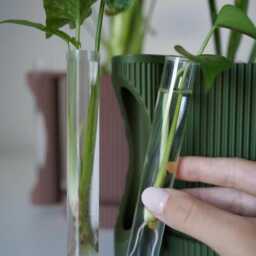 Twinia Planter With Propagation Tube Holder, Modern Ribbed Pot - thumbnail 2