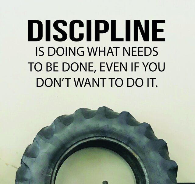 Gym Wall Decal, Office Personal Trainer Physical Therapy Discipline Quote Decal - image 1