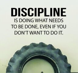 Gym Wall Decal, Office Personal Trainer Physical Therapy Discipline Quote Decal - thumbnail 1
