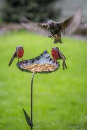 Recycled Metal Robin On Leaf Feeder. Garden Outdoor Sculptures. Handmade Feeder Stake - Safe Place To Leave Needed Large Box Delivery - thumbnail 1