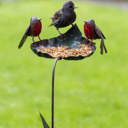 Recycled Metal Robin On Leaf Feeder. Garden Outdoor Sculptures. Handmade Feeder Stake - Safe Place To Leave Needed Large Box Delivery - thumbnail 2