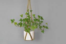 Olive Green Leather Hanging Planter Indoor Ceiling Plant Hanger