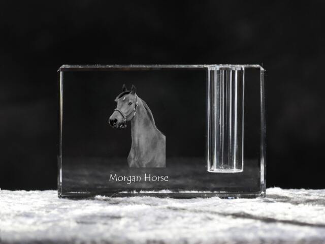 Morgan Horse, Crystal Pen Holder With Souvenir, Decoration, Limited Edition, Collection - image 1