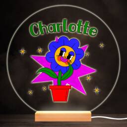 Funny Pot Plant Flower Colourful Round Personalised Gift Led Lamp Night Light - Bedroom