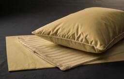 "Down Travel Pillow Set - Cream - 12""x16"