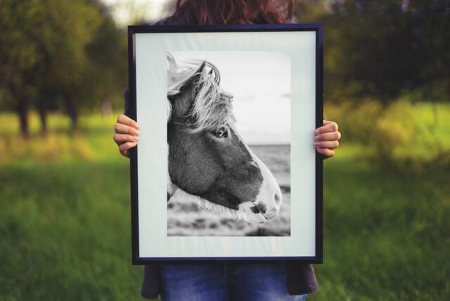 Horse Photo Print Black & White Farmhouse Wall Art - Digital Download - image 1