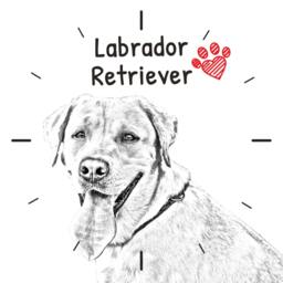 Labrador Retriever, Free Standing Mdf Floor Clock With An Image Of A Dog - thumbnail 2