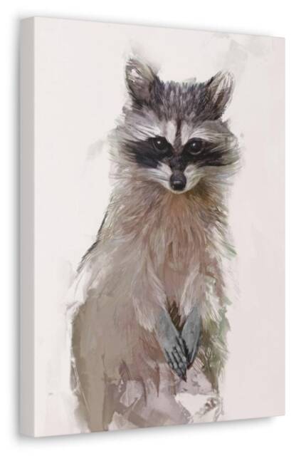 Raccoon Canvas Print Wildlife Animal Art, Nursery Decor - image 1