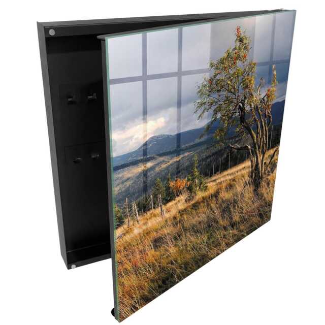 Autumn Landscape Wall Mounted Key Cabinet, Green Box For Wall, Photographic Landscapes, Nature Lovers - image 1