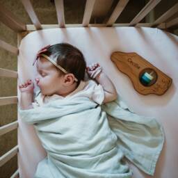 North Carolina State Rattle Modern Wooden Baby Toy - thumbnail 2