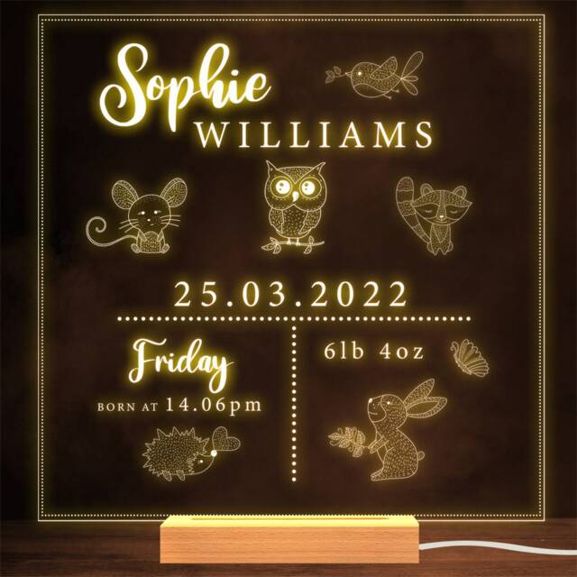 Baby Birth Info Forest Animals Special Dates Personalised Gift Lamp Night Light - image 1