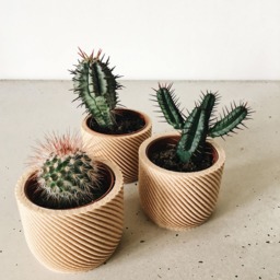 Minimalist Wood Planter For Your Succulents Or Cacti/Made in France - thumbnail 4