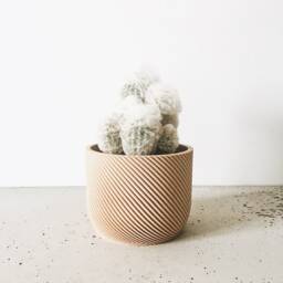 Minimalist Wood Planter For Your Succulents Or Cacti/Made in France - thumbnail 2