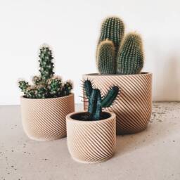 Minimalist Wood Planter For Your Succulents Or Cacti/Made in France
