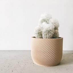 Minimalist Wood Planter For Your Succulents Or Cacti/Made in France - thumbnail 3