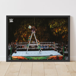 Wwe Print - Mitb Iyo Sky Win Poster Wrestling Wall Art - thumbnail 1