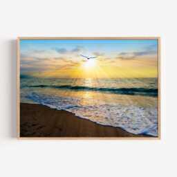 Beach Sunset Print, Ocean Photography Wall Art, Seaside Bird Picture - thumbnail 2