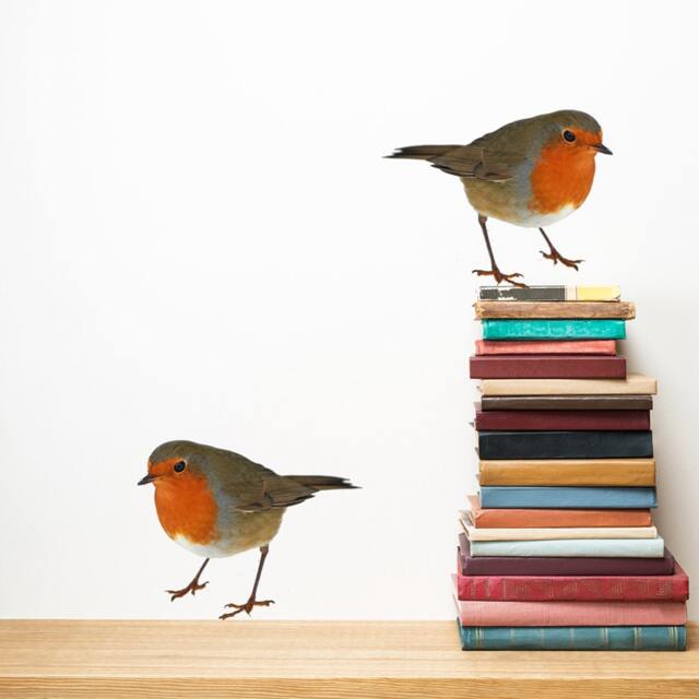 Robin Wall Decals Set Of 2 Bird Stickers, Home Decor Mural - image 1