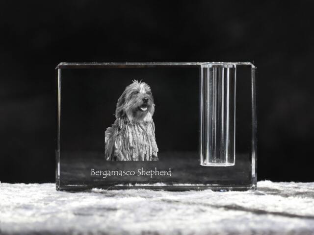 Bergamasco Shepherd, Crystal Pen Holder With Dog, Souvenir, Decoration, Limited Edition, Collection - image 1